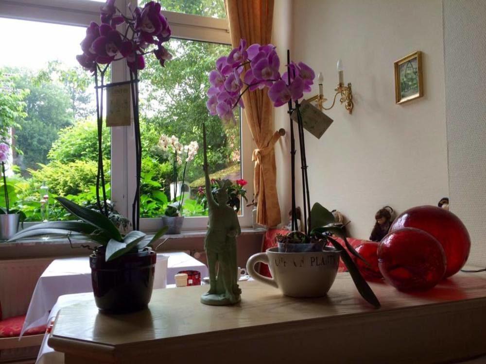 Kurvilla Fuerstin Pauline Bad Salzuflen Extérieur photo